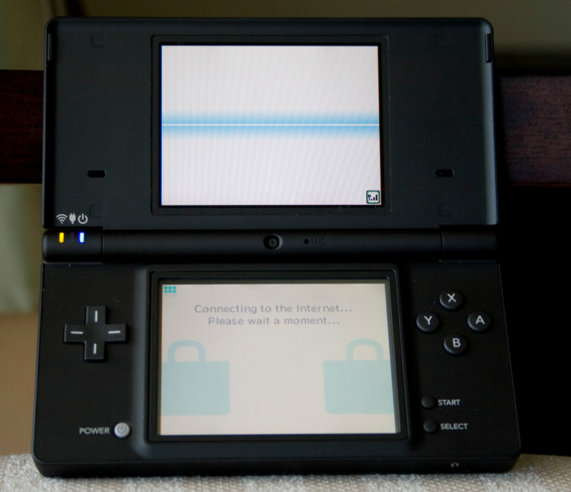 Illustration for article titled Nintendo DSi Review